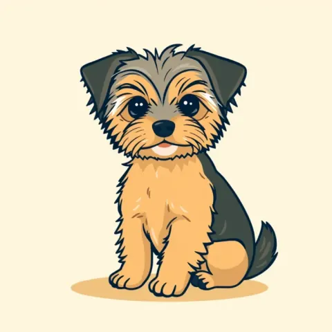 Desen Morkie