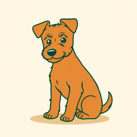 Desen Norwich Terrier