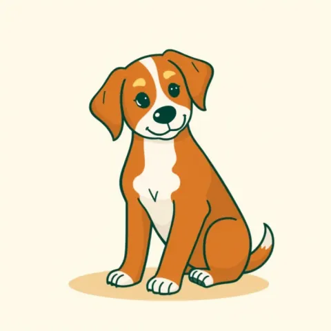 Desen Nova Scotia Duck Tolling Retriever