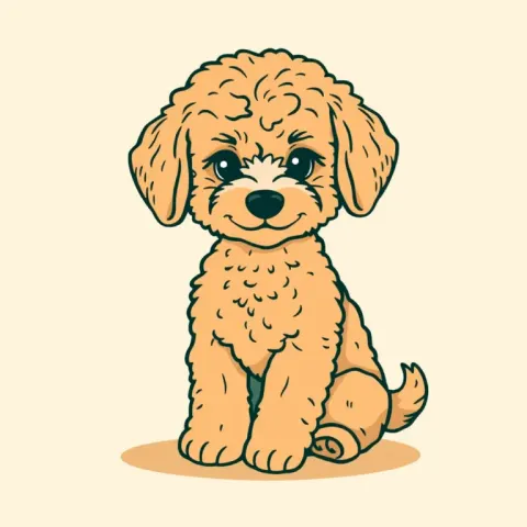 Desen Poochon