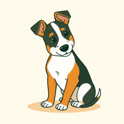 Desen Rat Terrier
