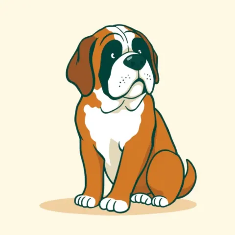 Desen Saint Bernard