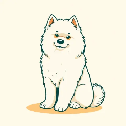 Desen Samoyed