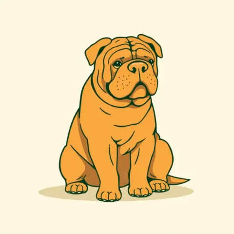 Desen Shar Pei
