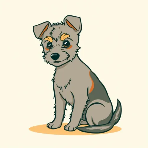 Desen Silky Terrier Australian