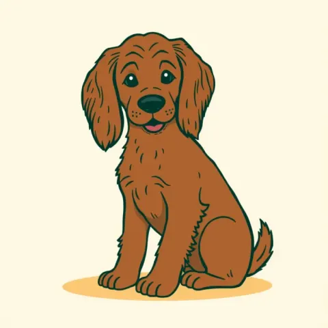 Desen Spaniel German