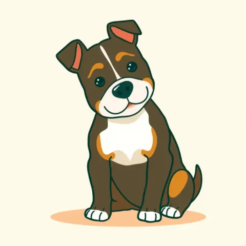 Desen Staffordshire Bull Terrier