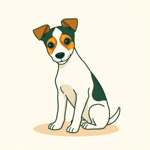 Desen Terrier Valencian