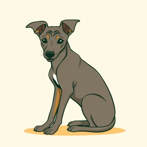 Desen Thai Ridgeback