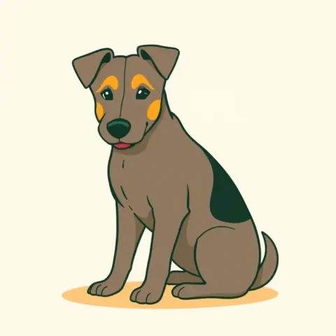 Desen Vallhund Suedez