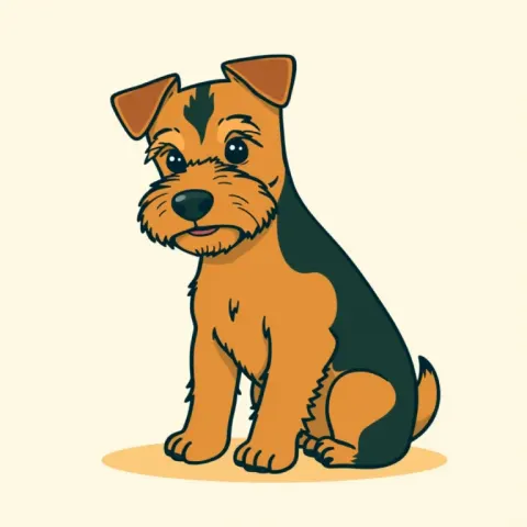 Desen Welsh Terrier